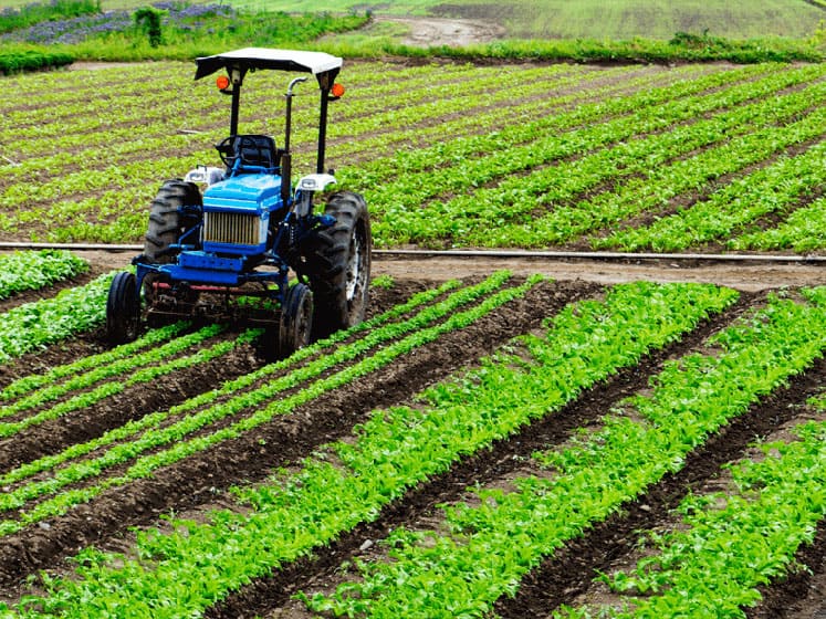nanoCAD used for agricultural design and planning