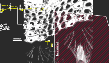 nanoCAD transparency command